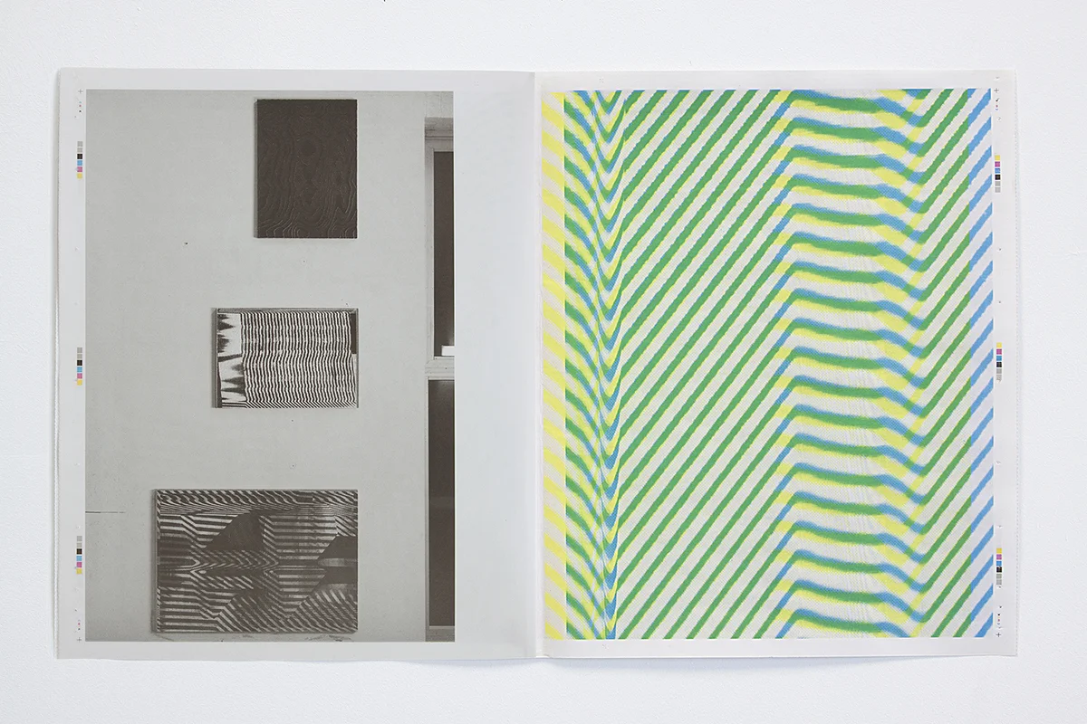 Untitled (Hotzestrasse 23), variable cover pages standard tabloid newsprint with silkscreen additions, 14x22in (open), 2013 available at Printed Matter Inc.