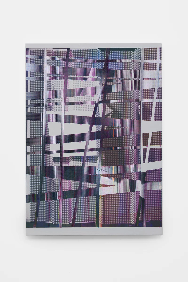 Hotzestrasse 23, silkscreen ink and acrylic on panel, 23 x 16.5 inches, 2015