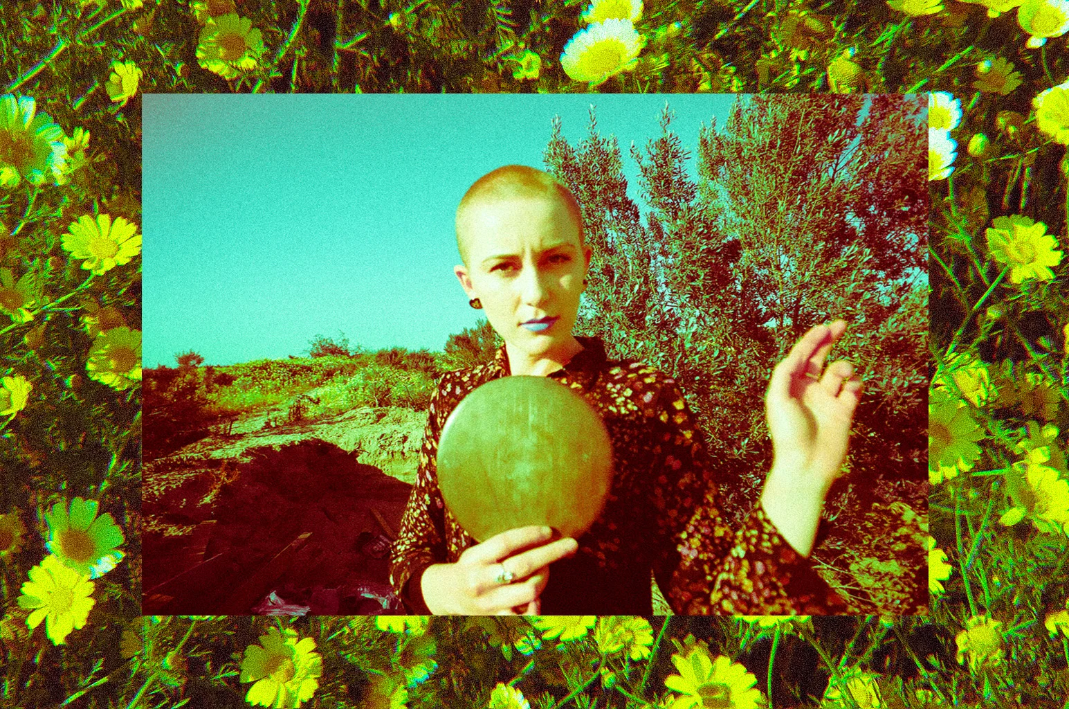 SavannaYellow.jpg