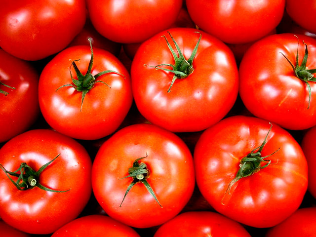 tomatoes.jpg