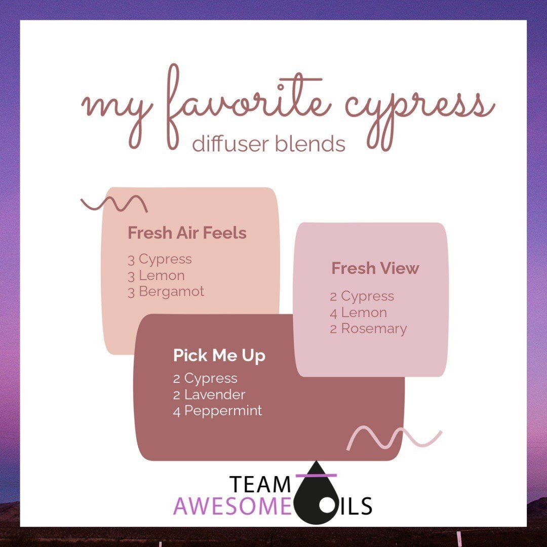 Add a clean, fresh, and woody scent to your home with, Cypress.🤎