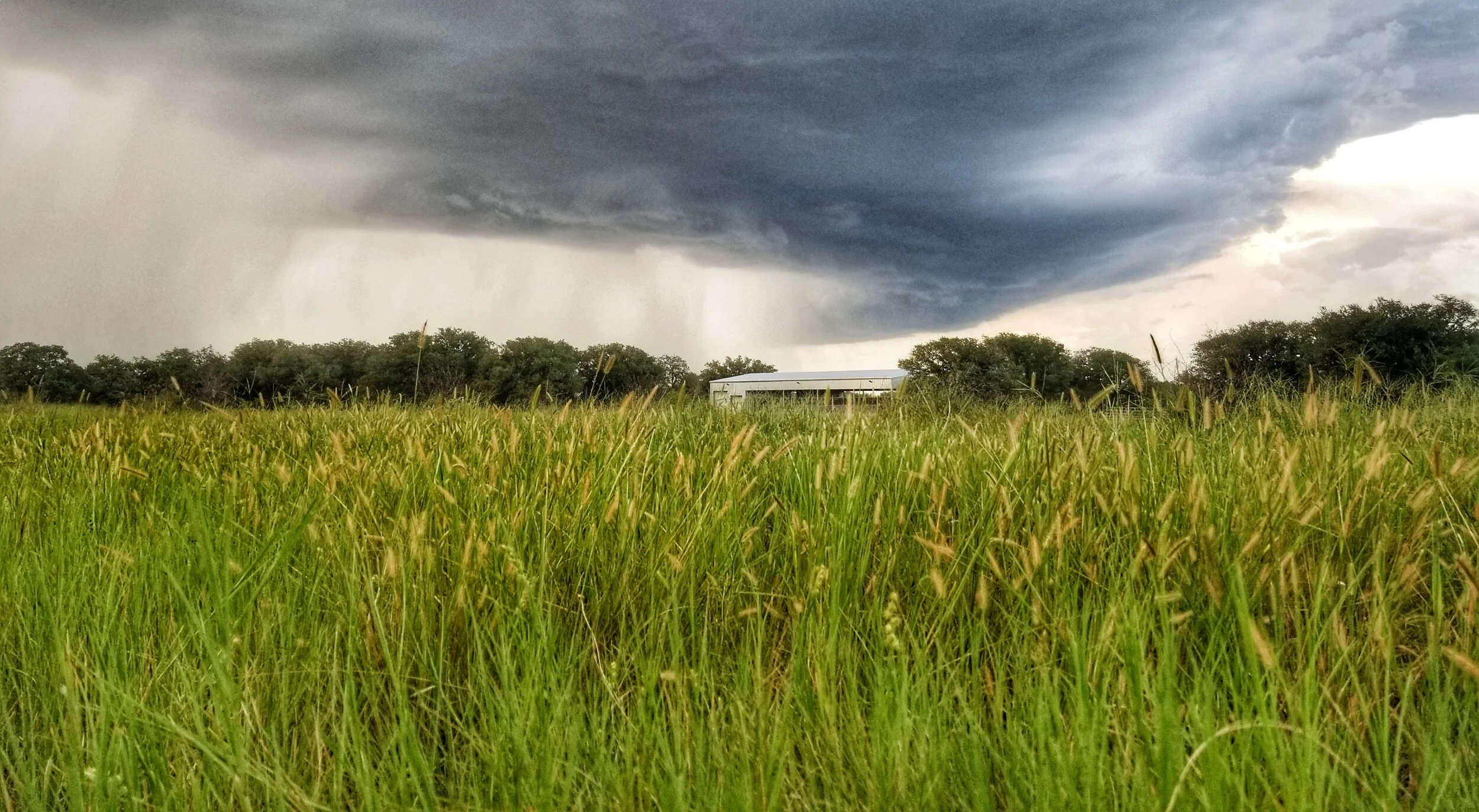 What's a grass farmer?