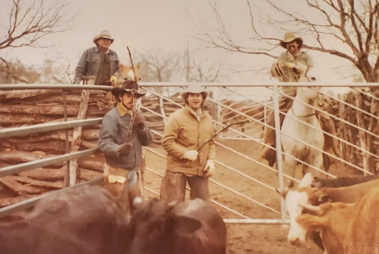 Camp House Lies... I mean stories