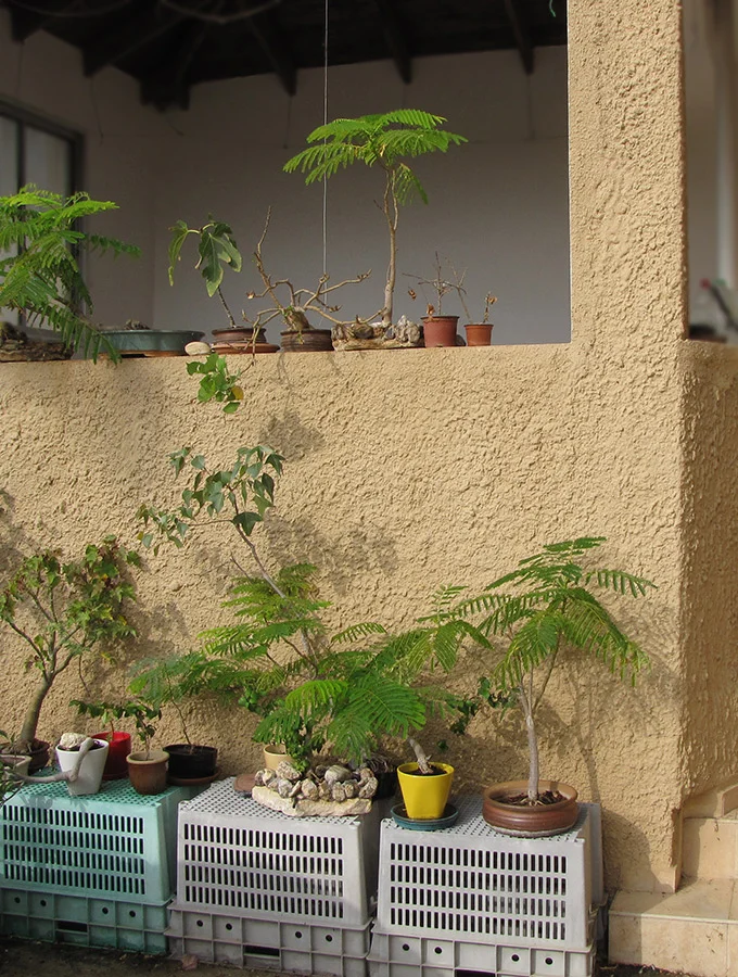 tricotin_raphael-mizrahi_maison_2