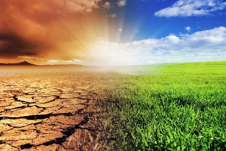 Sustainability is key for future homes...