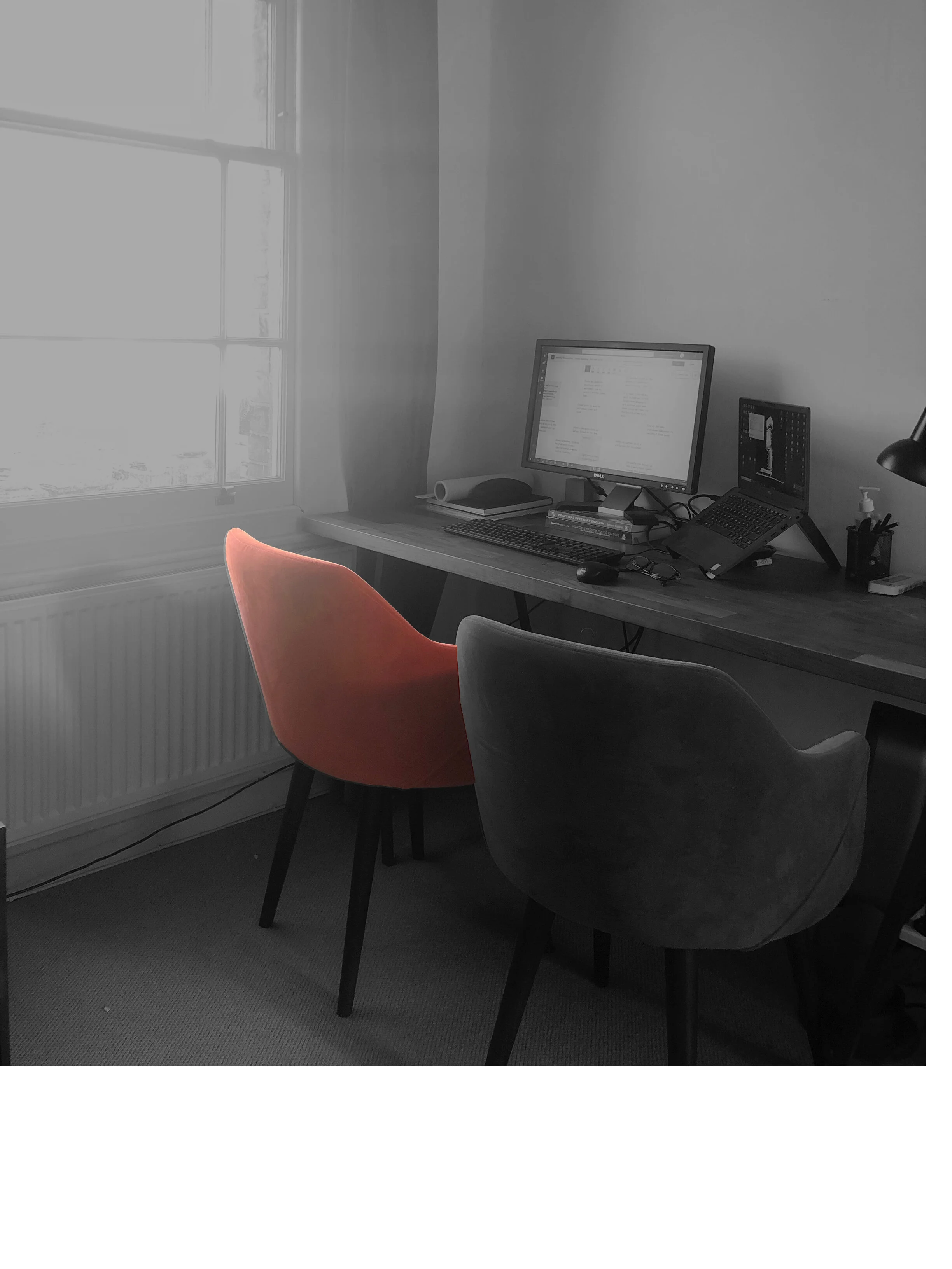 homeworking carlo_mixed.jpg