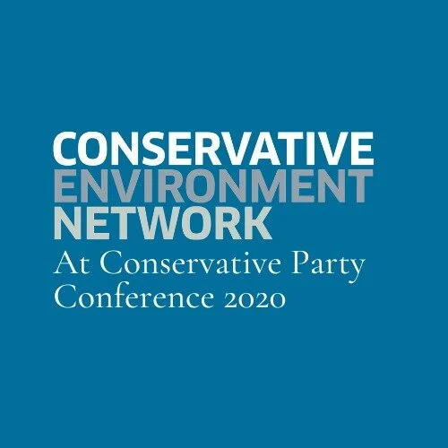 Jet zero: will sustainable aviation take off?