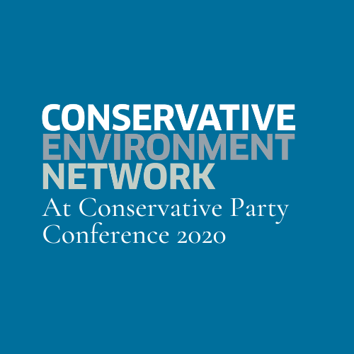 Let’s talk about flex: how the digital revolution can help us reach net zero