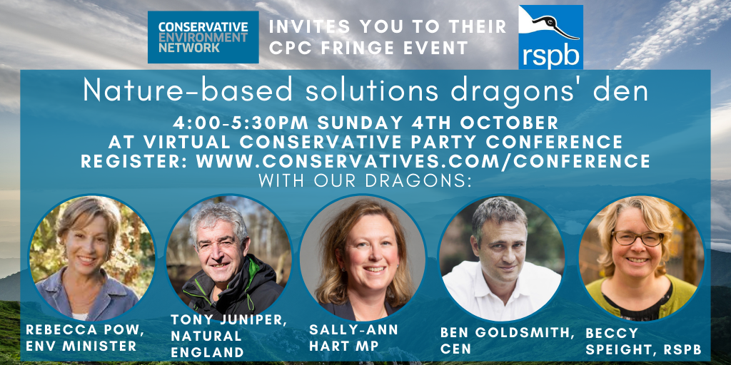 CPC graphics (32).png