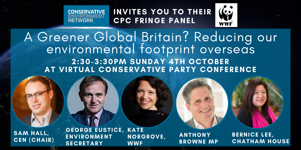 CPC graphics (34).png