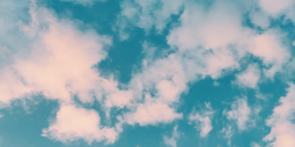 CEN Cllrs: What is the conservative solution to air pollution? 