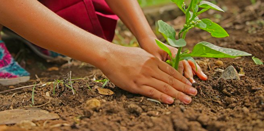 Spring Forum: Conservative councils and local climate leadership in the year of COP26