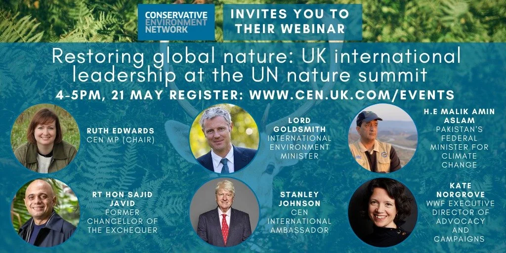 Updated nature webinar graphic.jpeg