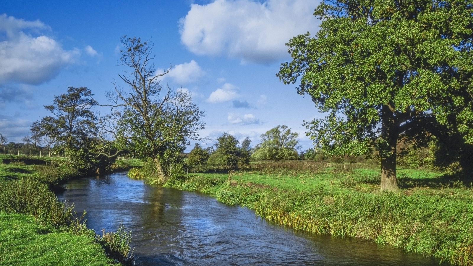 Green infrastructure: Levelling up access to nature in your local area • Webinar 