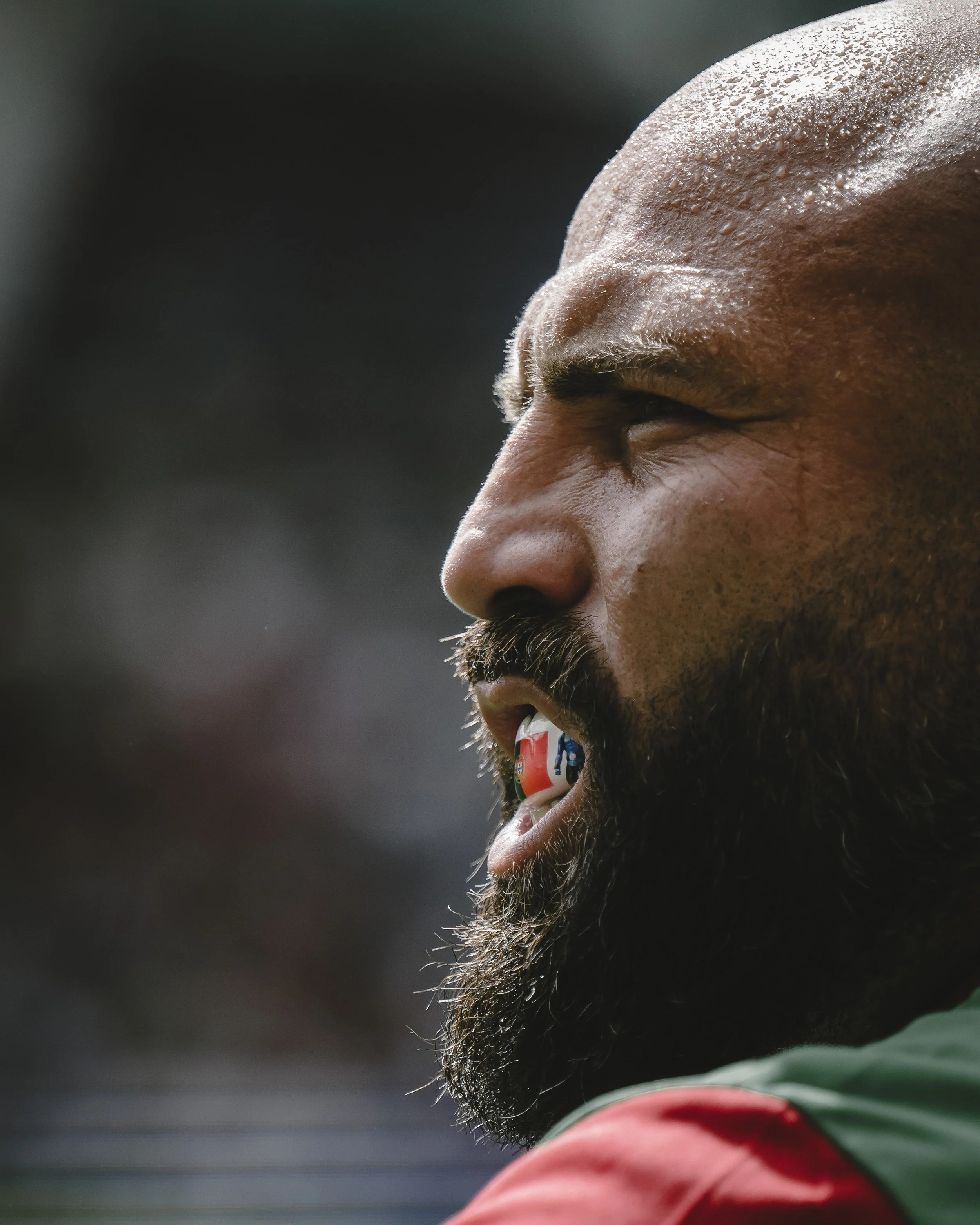 Federação Portuguesa de Rugby, Rugby World Cup 2023