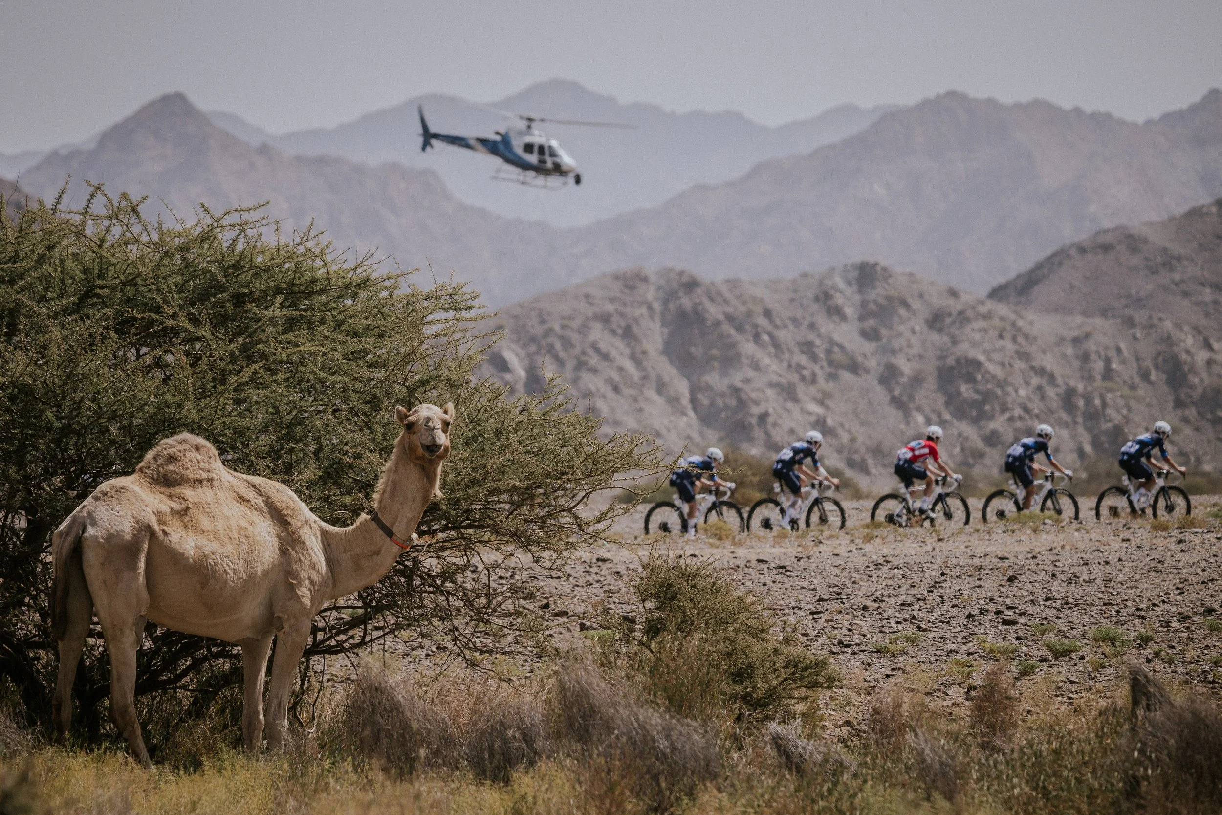 Tour of Oman 2025