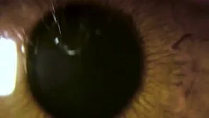 FOODSTAINABLE - Trailer