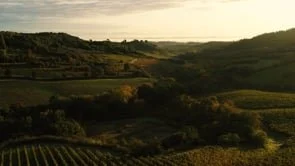SALCHETO Documentary ENG