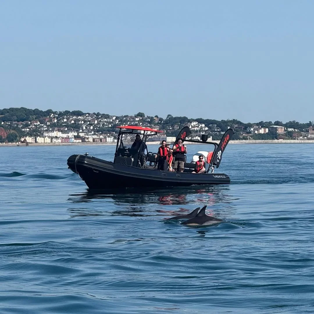 A black motorboat with four people onboard, all wearing life jackets, on calm water near a coastline with buildings and trees in the background. A dolphin fin is visible in the water near the boat.