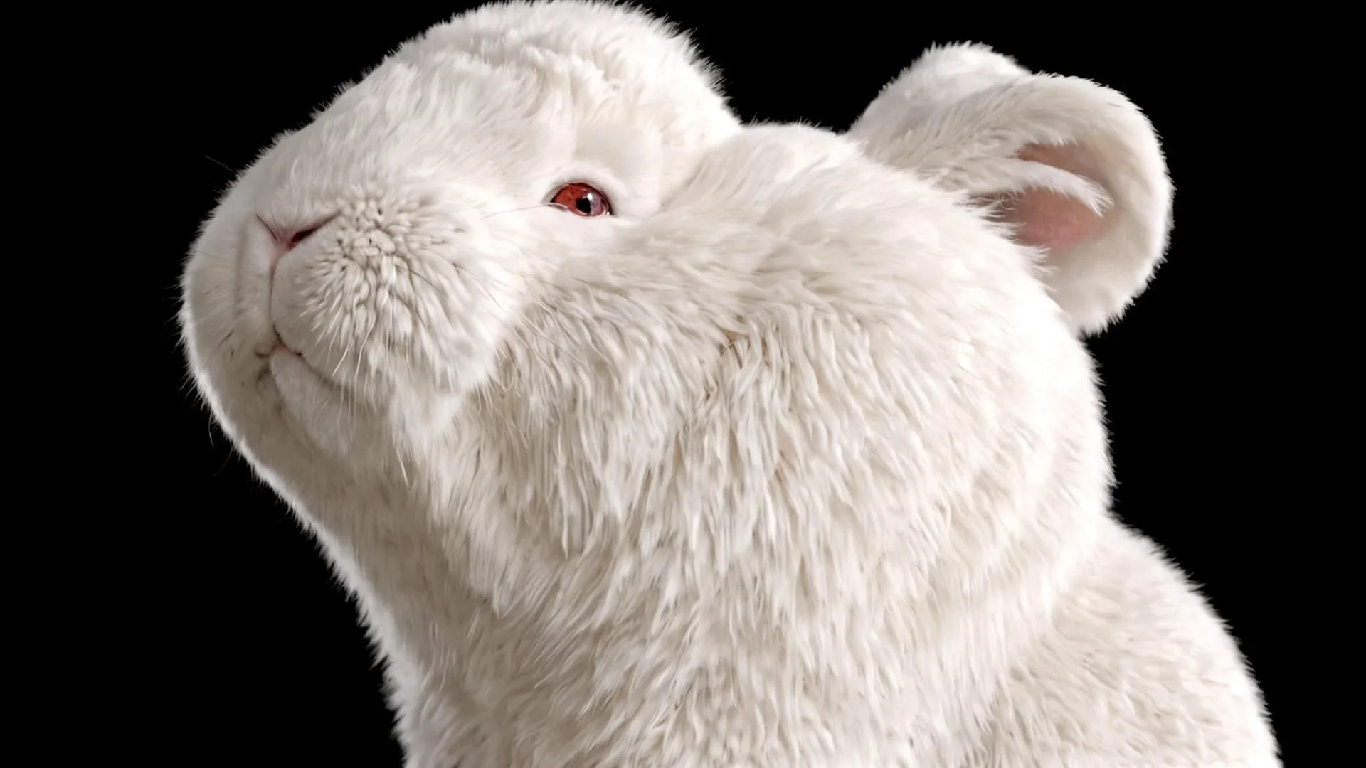 んoon 2nd Album  “Zoo”