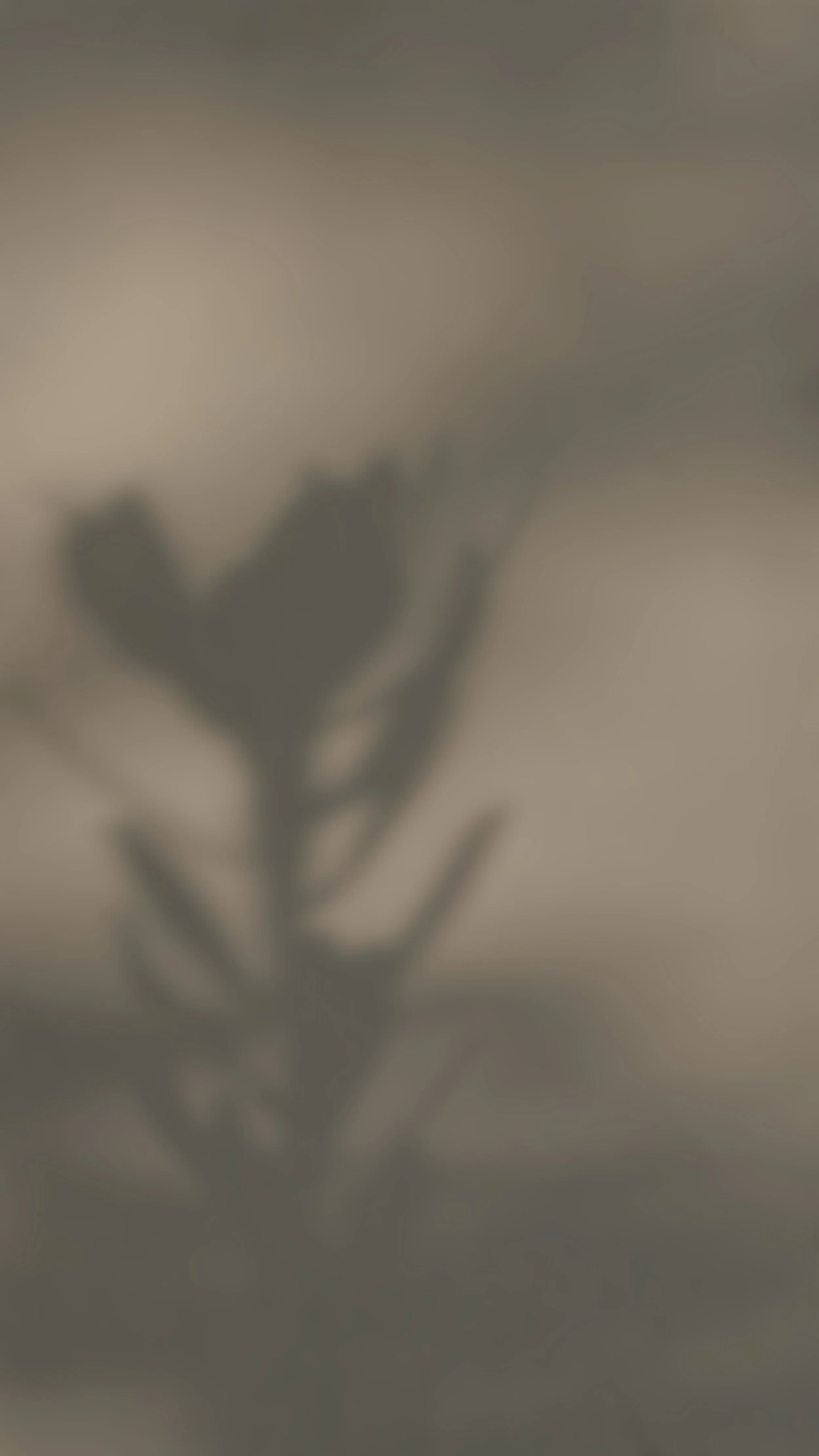 Tan+and+Grey+Minimalism+DIY+Influencer+Instagram+Highlight+Cover+Set.jpg