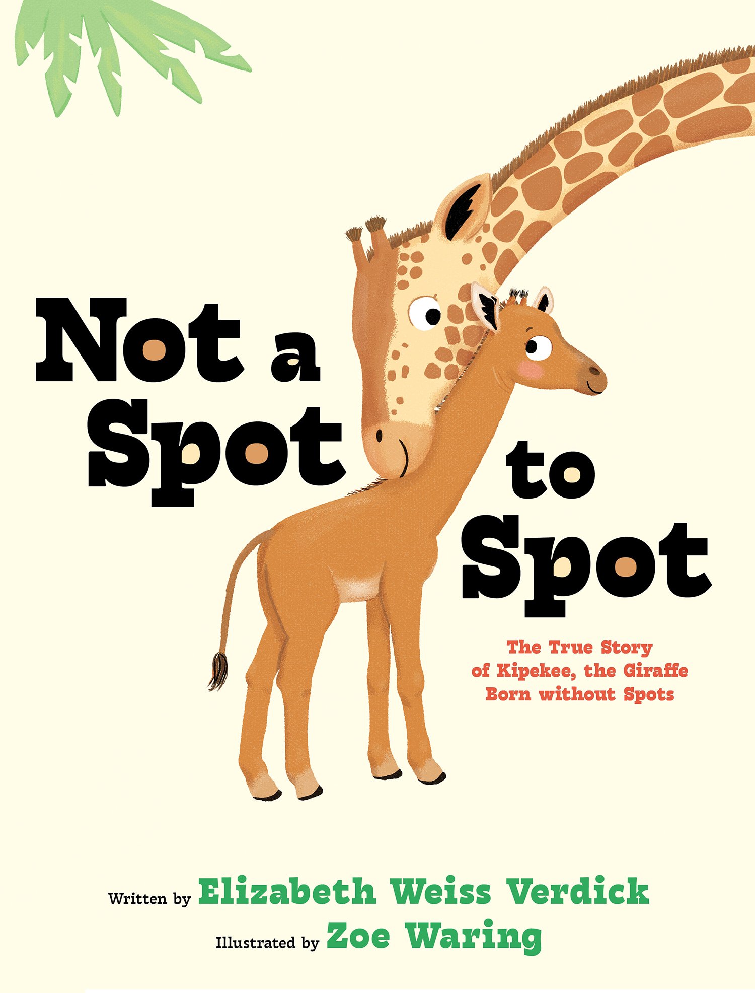 Not A Spot.jpg