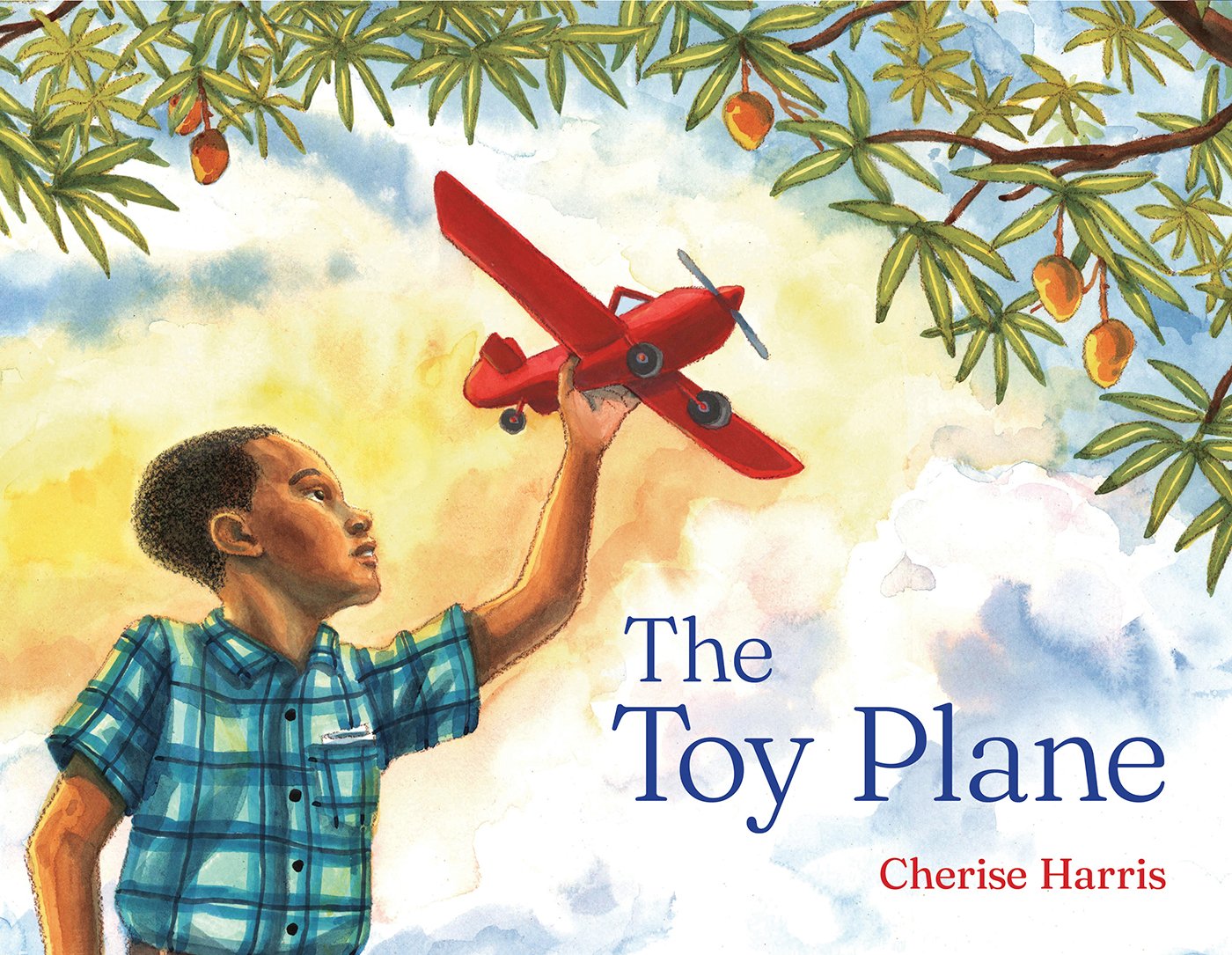 Toy Plane.jpg