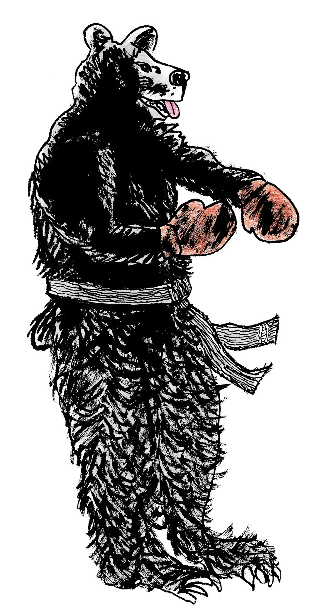 The_Bear_CVR_color copy.jpg