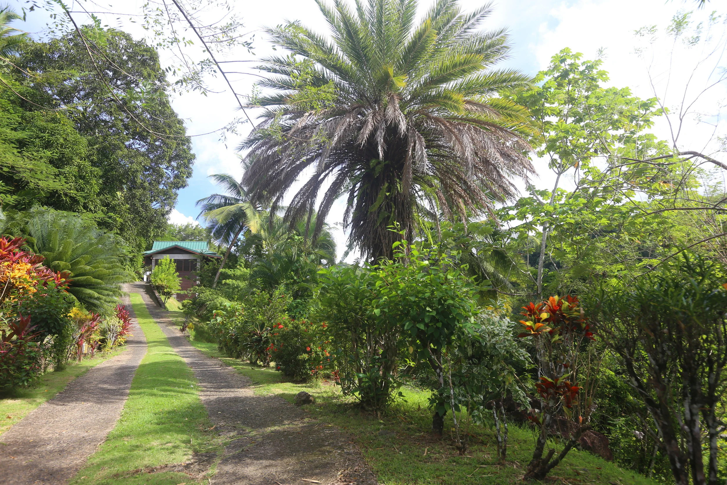  A view up the driveway - privacy abounds at Brigand Hill 