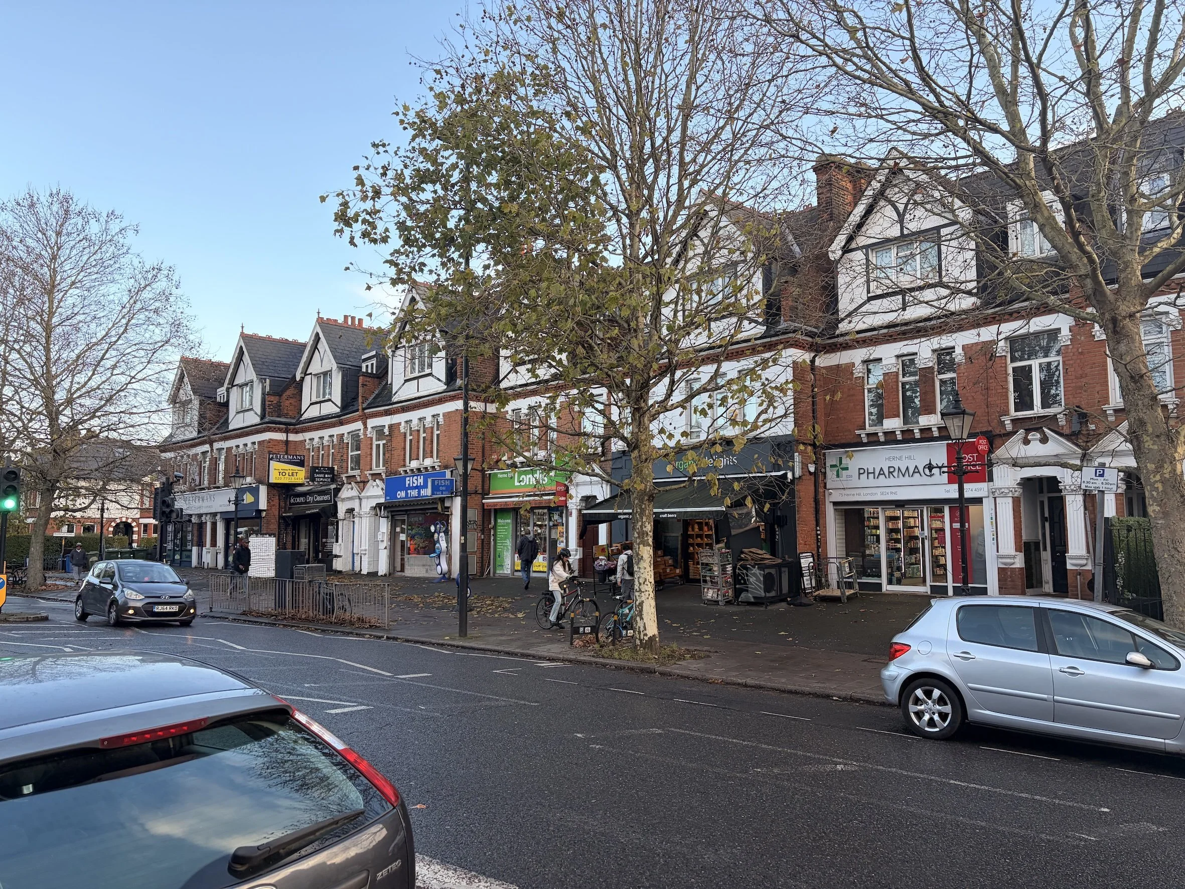 Street view showing storefronts, pedestrians, parked cars, leafless trees, and a traffic light in a commercial area.