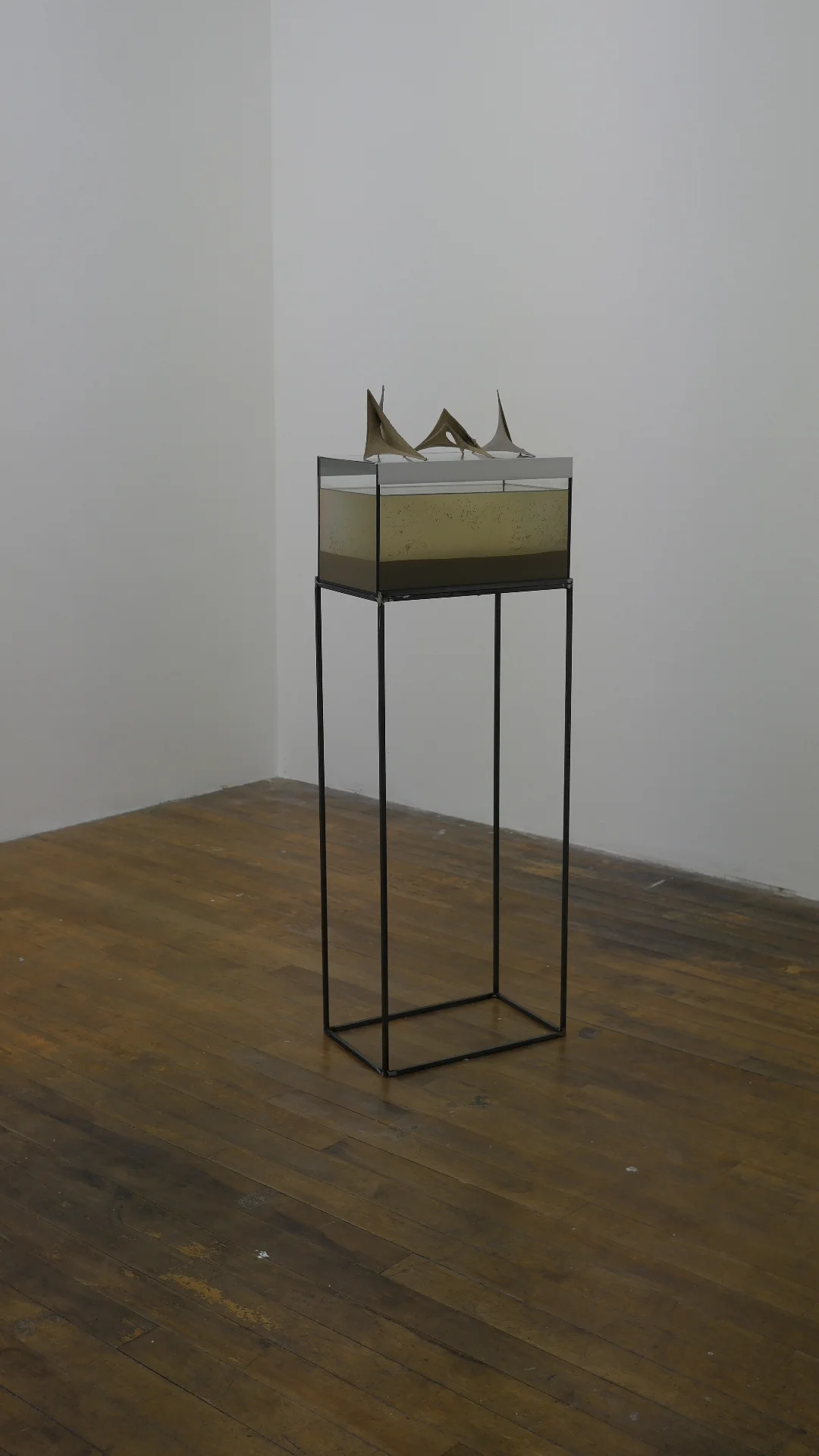  Fish tank, Shankill boulder clay, water, raw glazed earthenware, mild steel structure, aluminium 