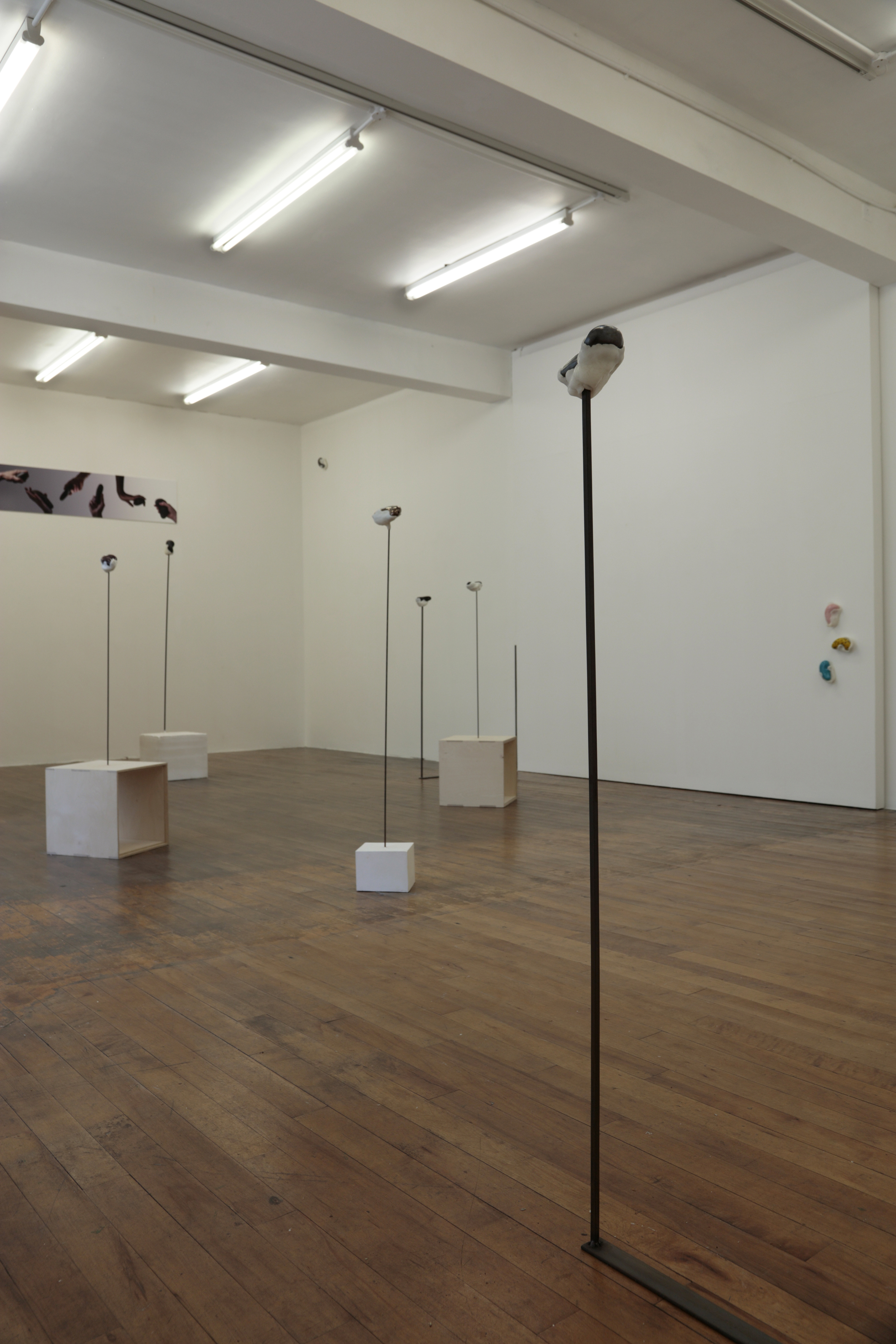 Are we Human? Notes on an archaeology of Design, Beatriz Colomina & Mark Wigley -
