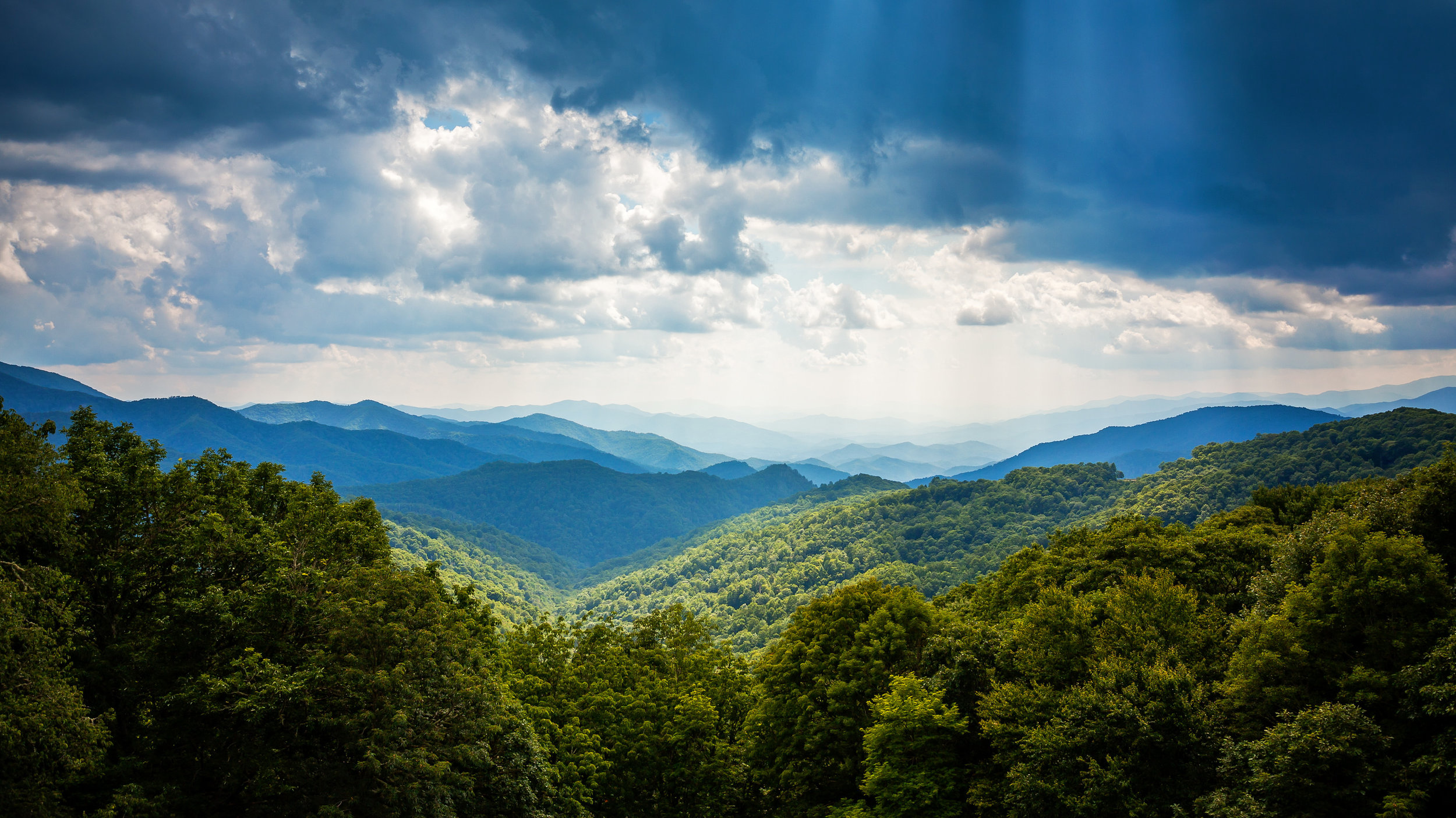 Images would fit into the blog like this.