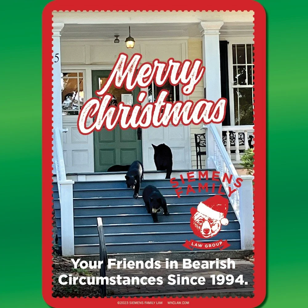 Merry Christmas and Happy New Year from Siemens Family Law Group!
