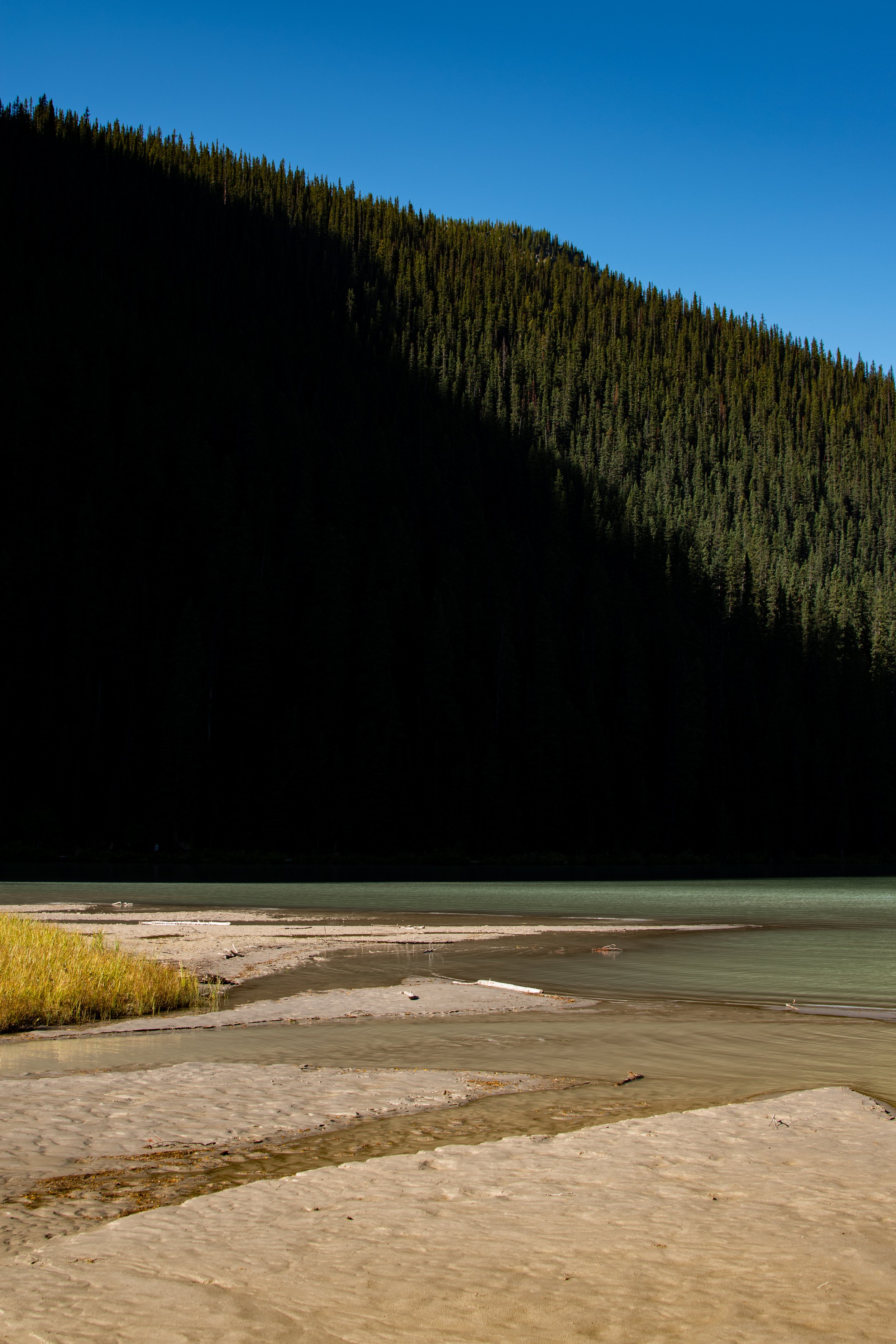 Myles Wiltshire_Lake Louise 2019_01.jpg