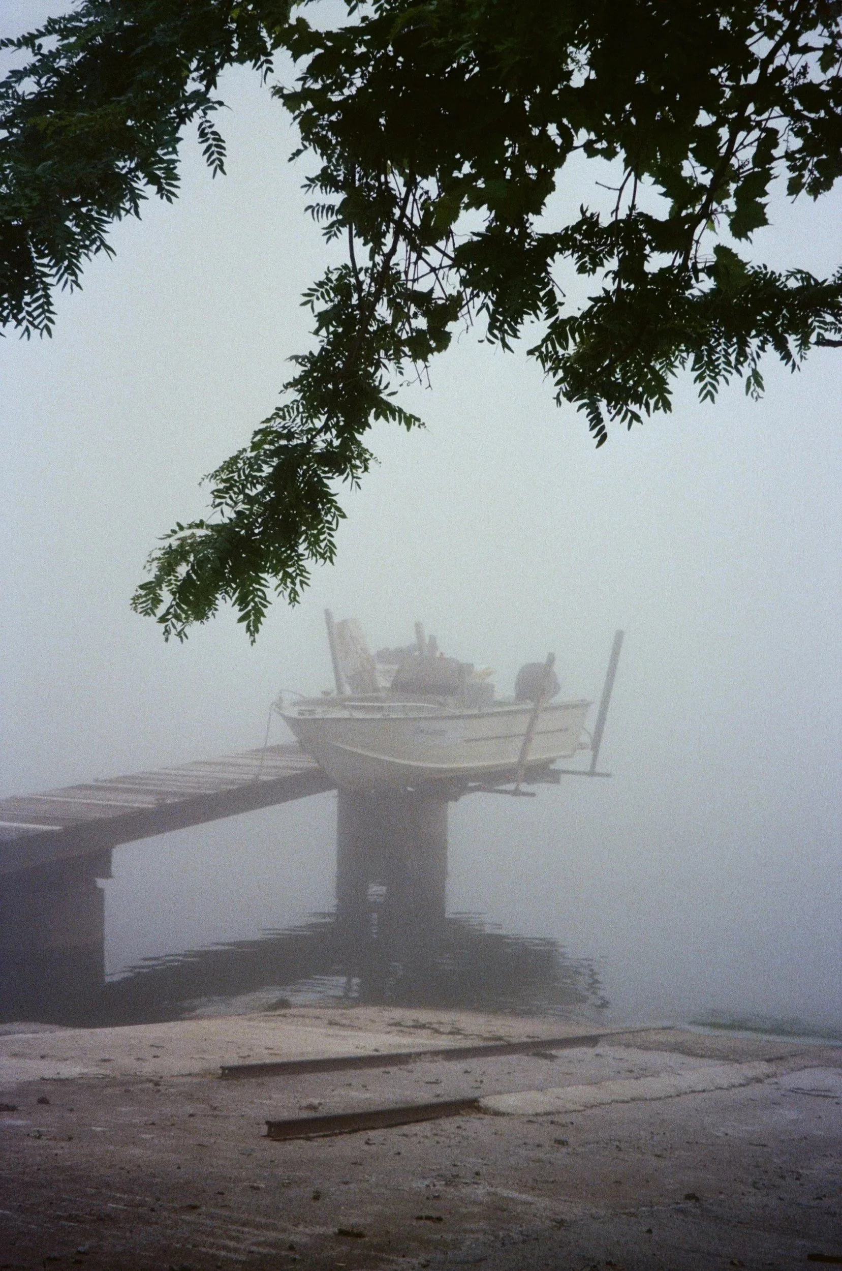 A boat is docked at a pier on a foggy day, with a tree branch with leaves in the foreground and the boat's reflection in the water.