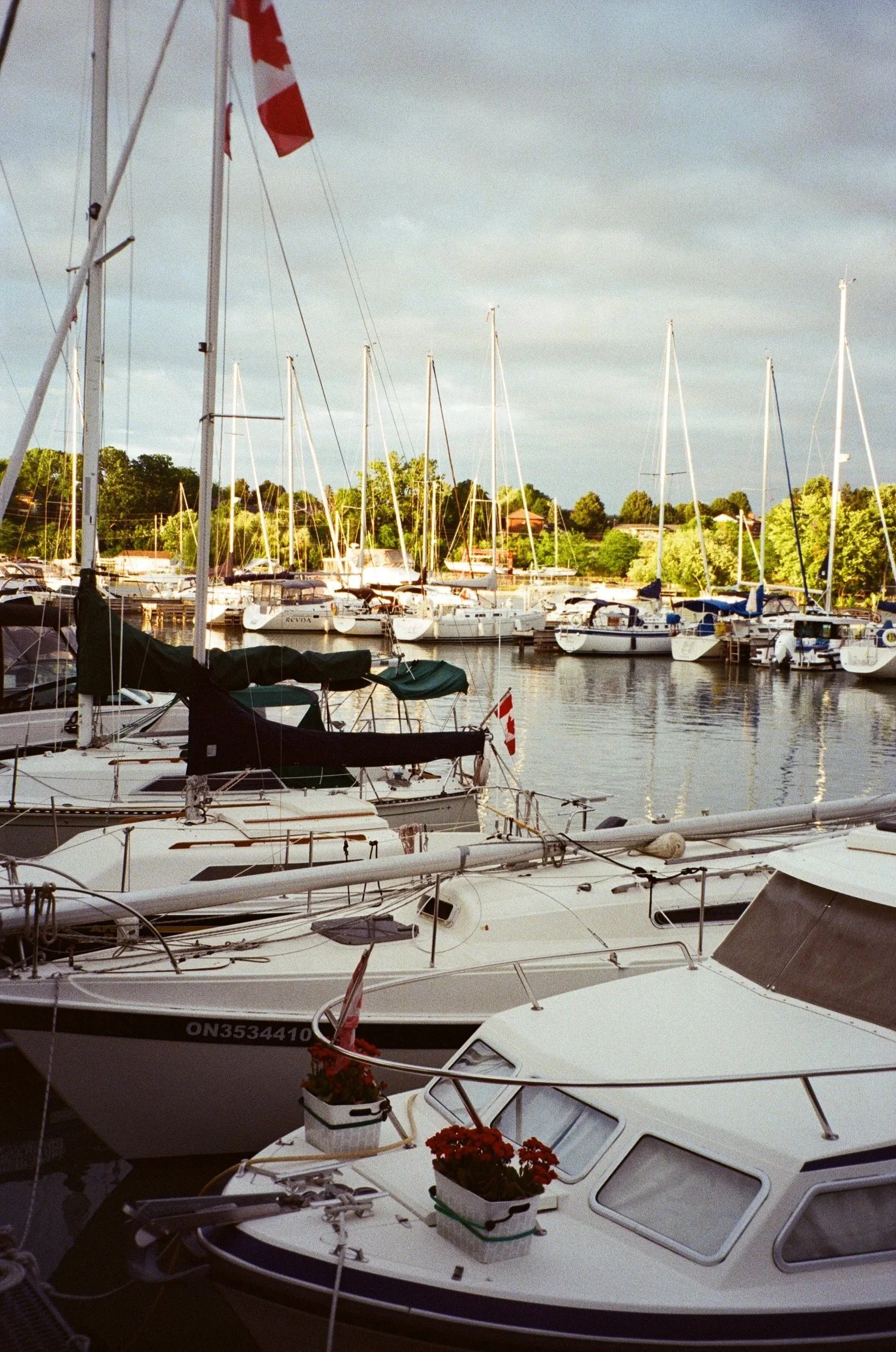 Multiple sailboats docked at a marina, with some boats displaying Canadian flags. The background shows trees and houses under a cloudy sky.