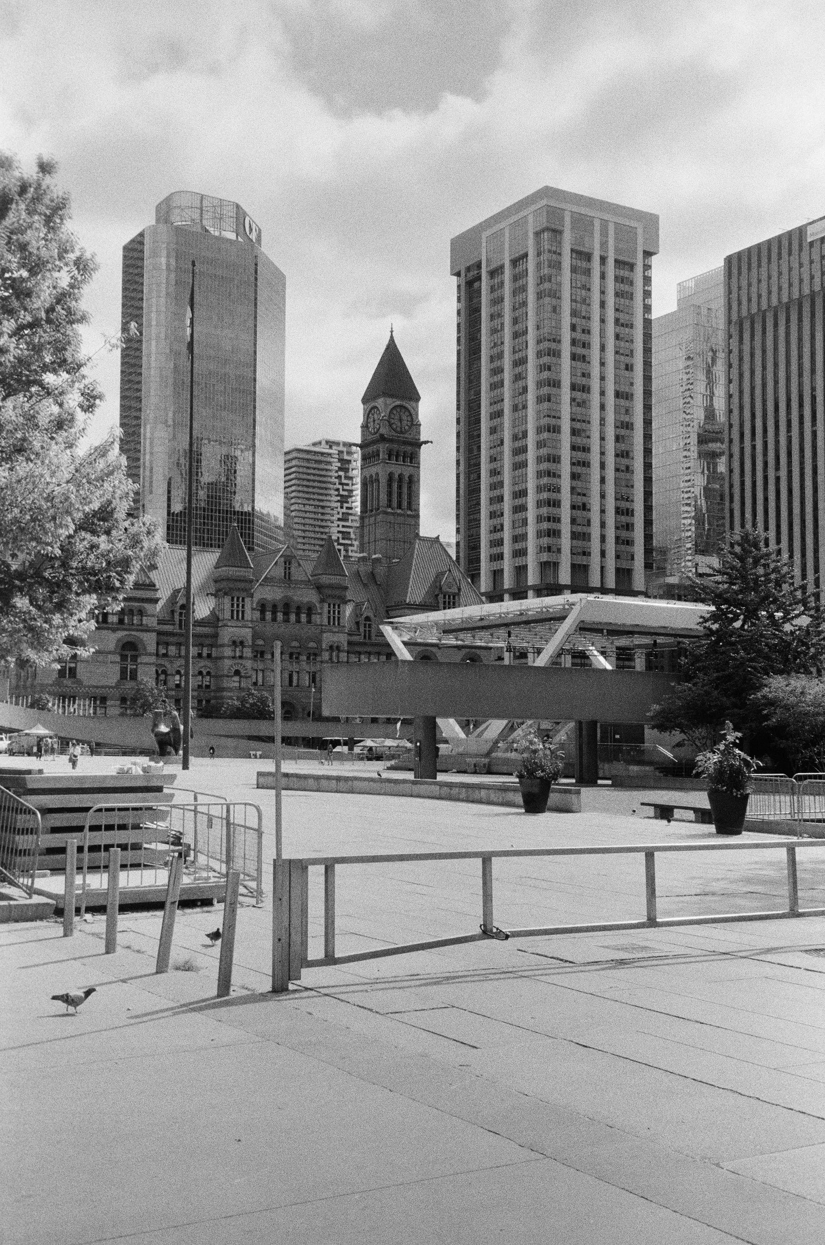City skyline with modern skyscrapers and a historic clock tower; foreground shows open public space with potted plants, benches, and a few birds.