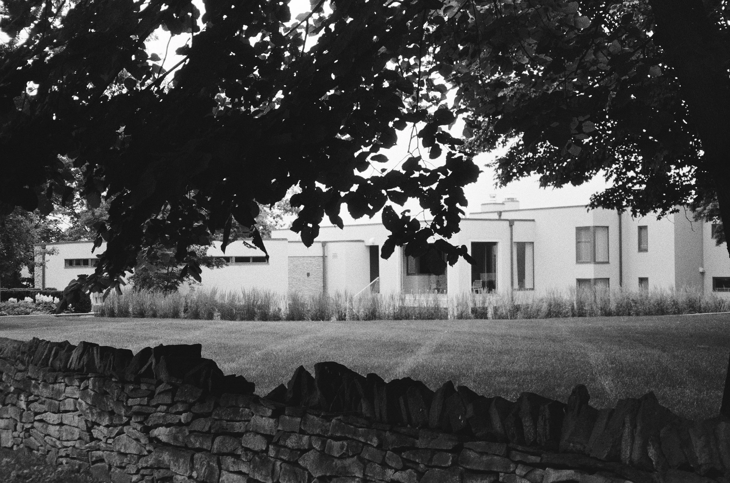 A black and white photograph taken from behind a stone wall, looking out at a modern residential building with multiple windows. Foreground features overhanging tree branches and leaves, with contrasting bright sky visible above the building.