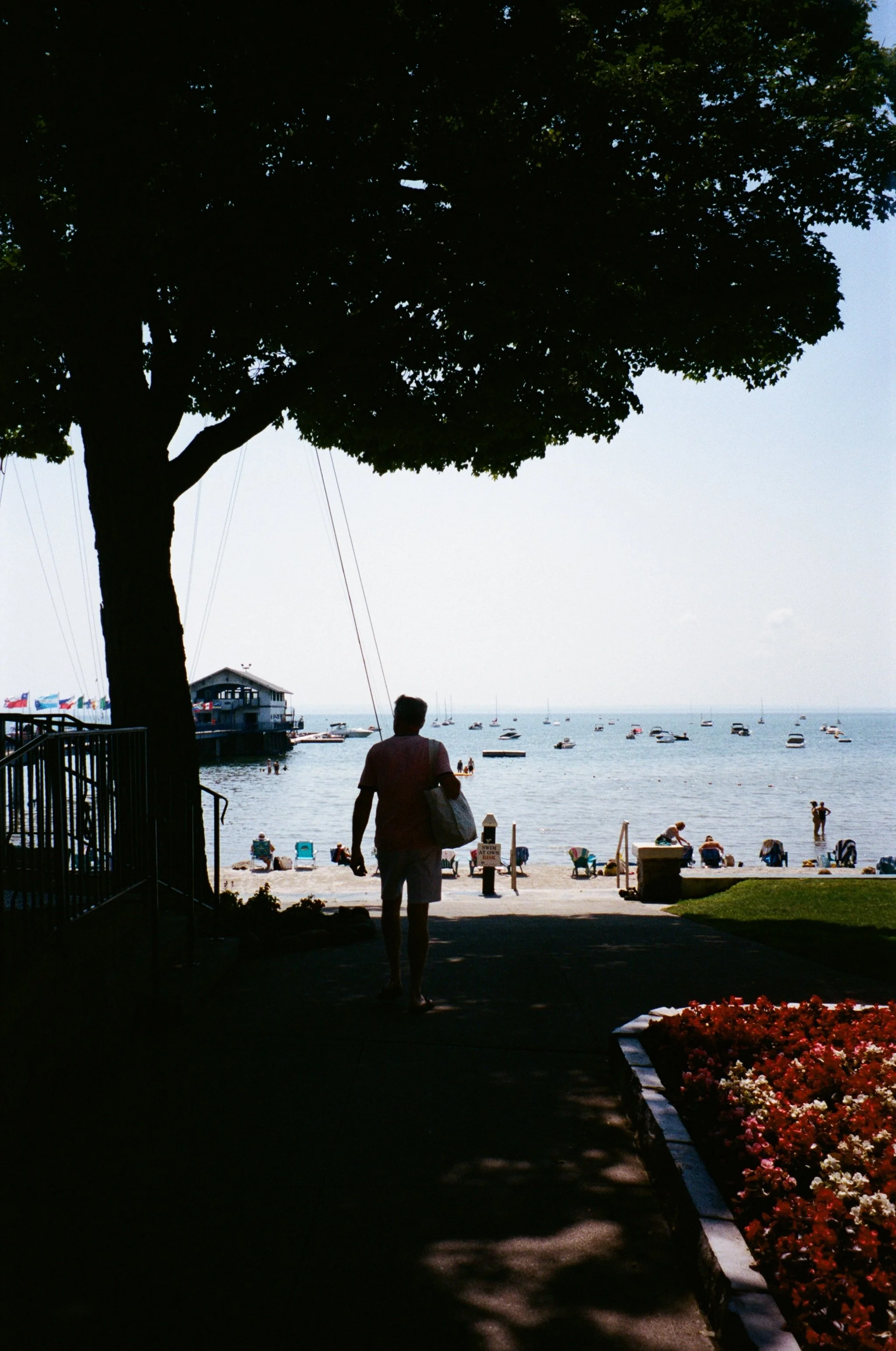 People walking towards a beach with boats on the water and a building near the shoreline; large trees casting shade over the scene, with some flowers in the foreground.