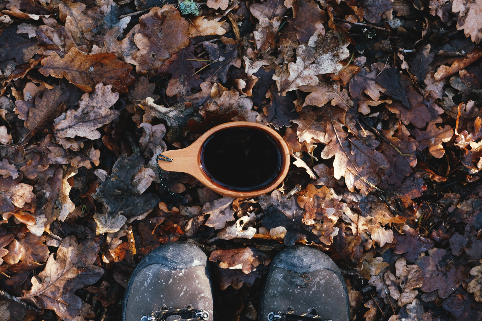polaris_cup_lo_8.png