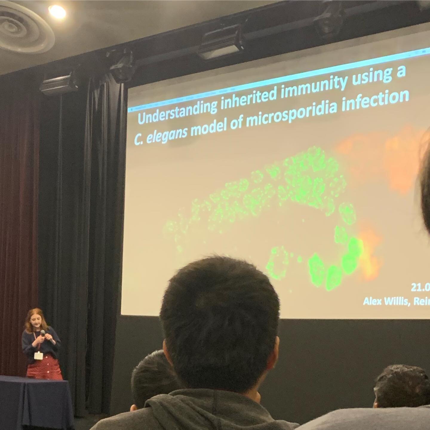 Alex, Winnie, Hala, Calvin and Jihae at the 22nd international worm meeting, spreading the word on how cool Microsporidia is and why C. elegans is a great model to study infection! #worm19
