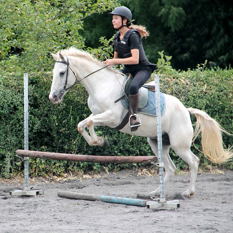 equestrian stay with jumping in France