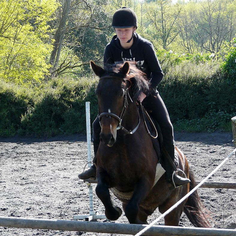 horse riding holidays with jumping in France