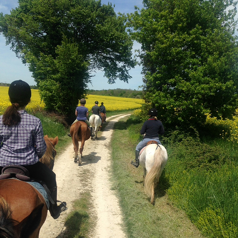 equestrian stay with trekking in France