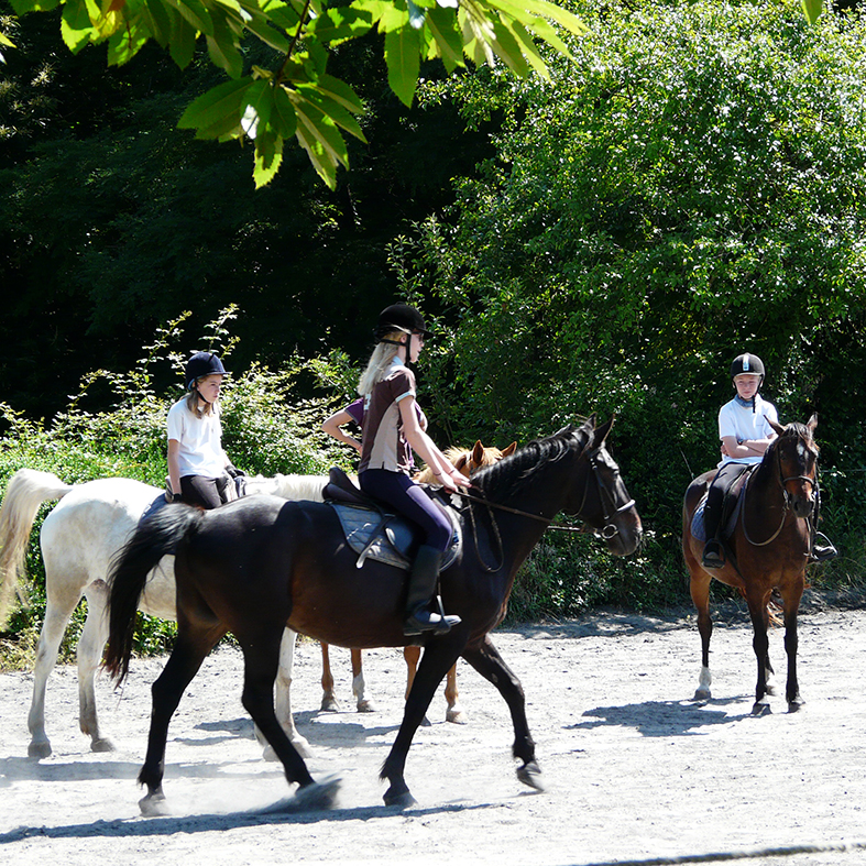 equestrian stay in France