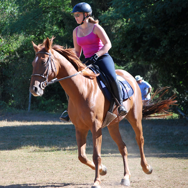 equestrian stay with dressage in France