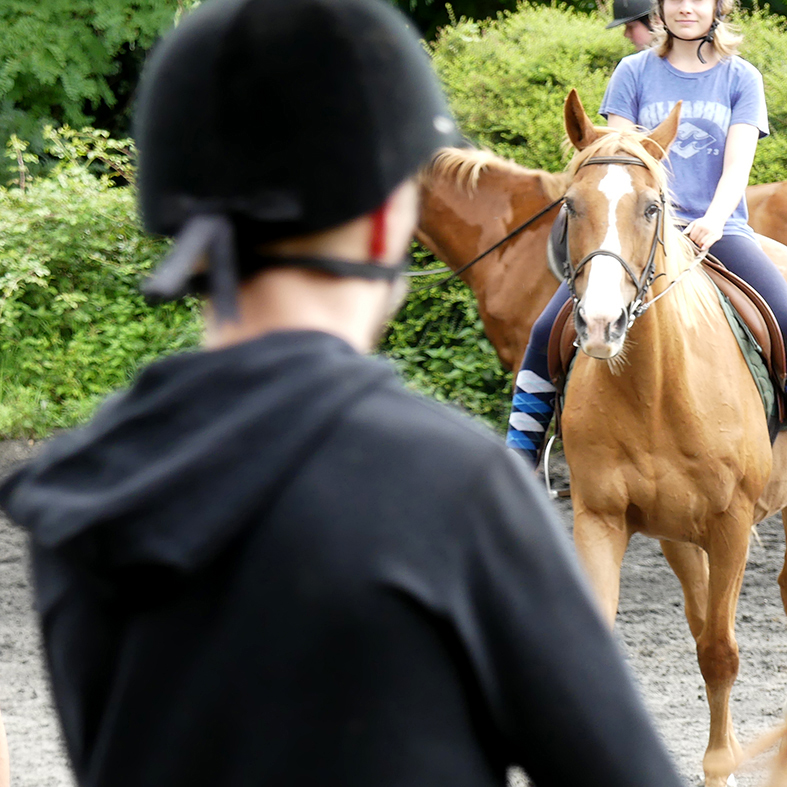 horse riding holidays with dressage in France