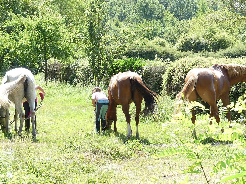 vacances-cheval.jpg