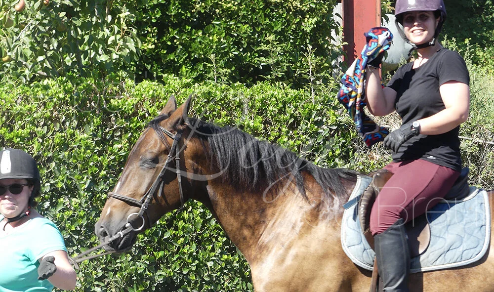 jeux-equestres-adultes.jpg